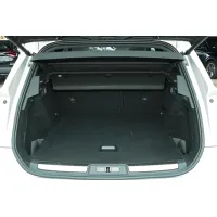 DS Automobiles, 2022, АКПП, пробег 23870 км