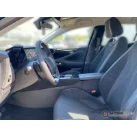 DS Automobiles, 2023, АКПП, пробег 19999 км