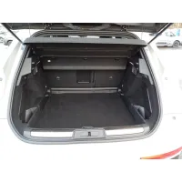 DS Automobiles, 2022, АКПП, пробег 29629 км