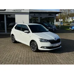 Skoda Fabia, 2020, МКПП, пробег 33700 км