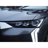 DS Automobiles, 2022, АКПП, пробег 52700 км