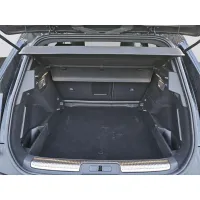 DS Automobiles, 2023, АКПП, пробег 45921 км