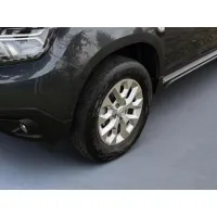 Dacia Duster, 2023, МКПП, пробег 17780 км