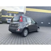 Fiat Panda, 2023, МКПП, пробег 28219 км