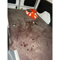 Citroën Berlingo, 2021, МКПП, пробег 83796 км