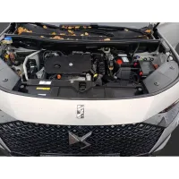 DS Automobiles, 2023, АКПП, пробег 19351 км