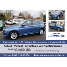Skoda Kamiq, 2021, МКПП, пробег 17964 км