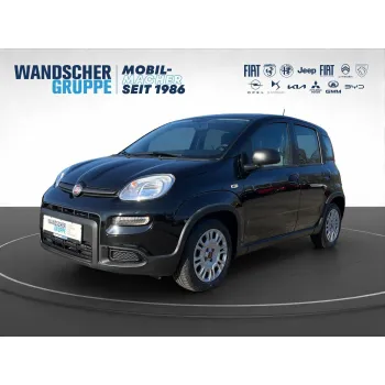 Fiat Panda, 2023, МКПП, пробег 8059 км