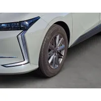 DS Automobiles, 2023, АКПП, пробег 9999 км