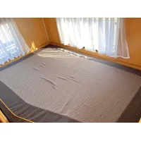 Автодом Dethleffs T, 2008, МКПП, пробег 122711 км