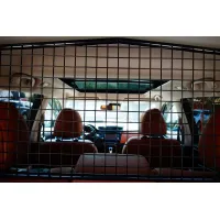 Nissan X-Trail, 2020, АКПП, пробег 31067 км