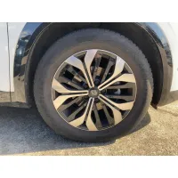 Renault Austral, 2023, АКПП, пробег 46534 км