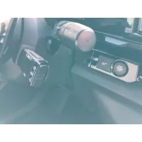 Renault Austral, 2023, АКПП, пробег 46534 км