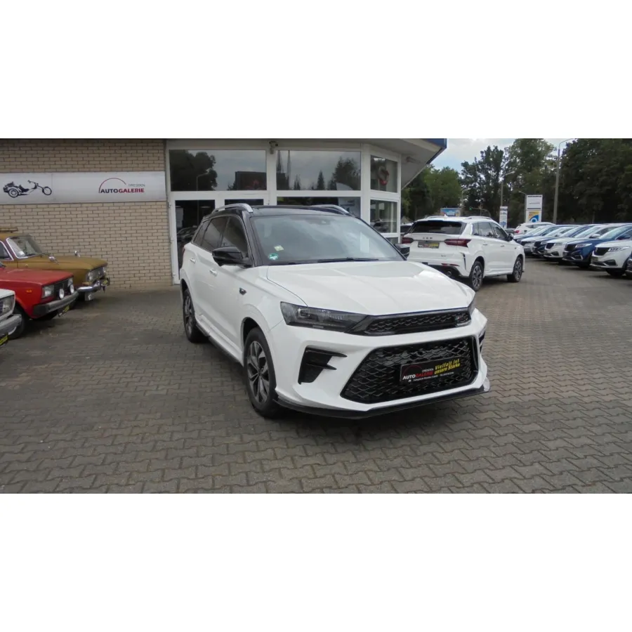 SWM G01, 2023, АКПП, пробег 55000 км