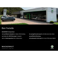 Skoda Kamiq, 2022, МКПП, пробег 39922 км