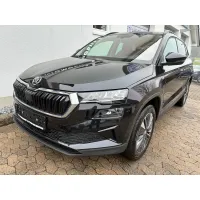 Skoda Karoq, 2023, АКПП, пробег 55650 км