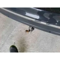 Volkswagen Tiguan, 2023, АКПП, пробег 38950 км