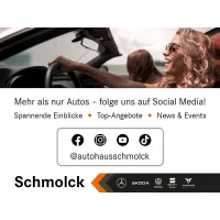 Skoda Fabia, 2023, МКПП, пробег 99990 км